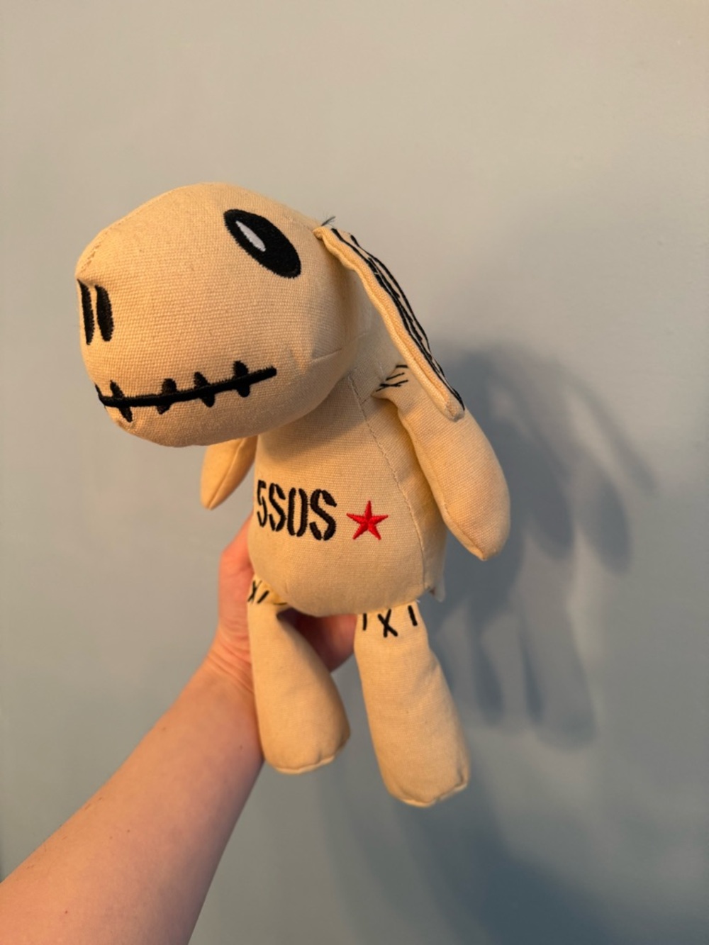 5 Seconds of Summer (5SOS) Rock Out With Your Socks Out Tour 2017 - “Ketchup”